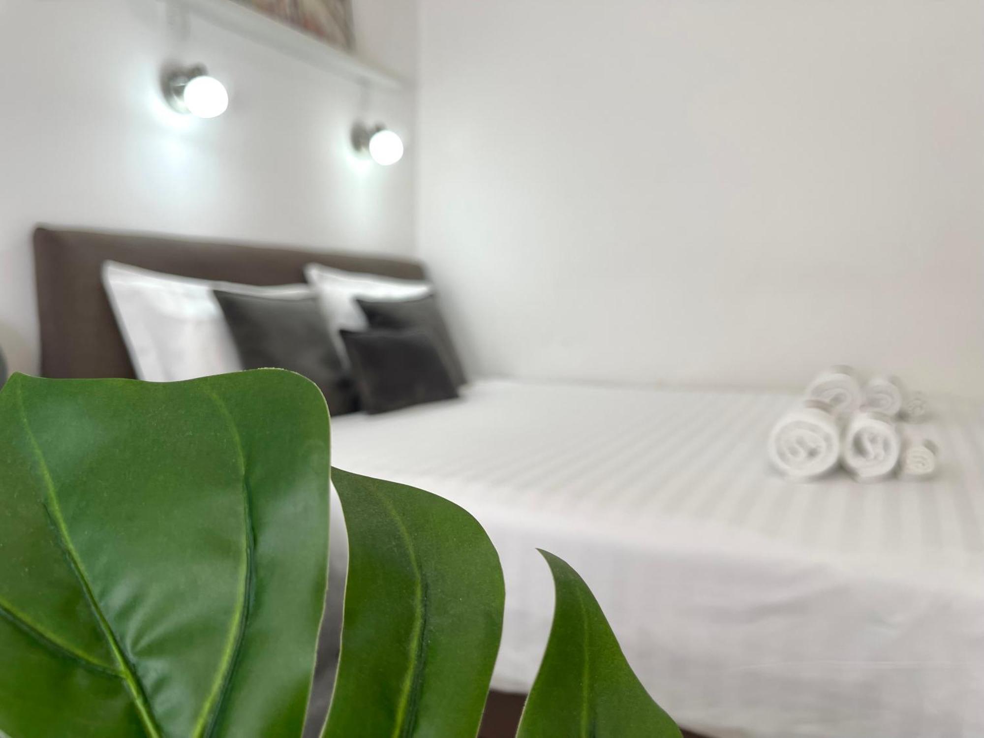 בודווה Apartments Pribilovic מראה חיצוני תמונה